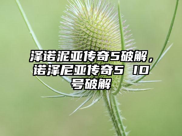 泽诺泥亚传奇5破解，诺泽尼亚传奇5 ID号破解