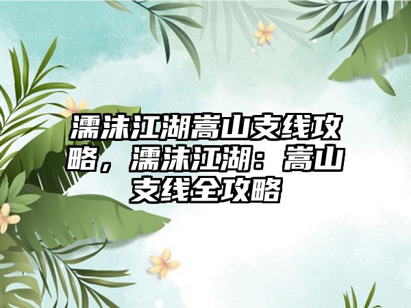 濡沫江湖嵩山支线攻略，濡沫江湖：嵩山支线全攻略
