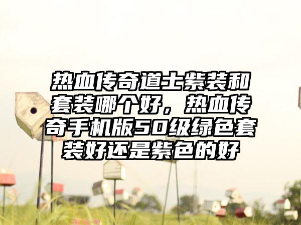 热血传奇道士紫装和套装哪个好，热血传奇手机版50级绿色套装好还是紫色的好