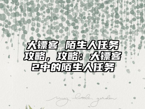 大镖客 陌生人任务攻略，攻略：大镖客2中的陌生人任务