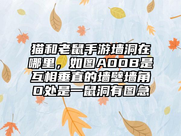 猫和老鼠手游墙洞在哪里，如图AOOB是互相垂直的墙壁墙角O处是一鼠洞有图急