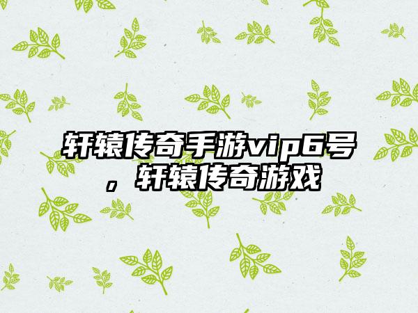 轩辕传奇手游vip6号，轩辕传奇游戏