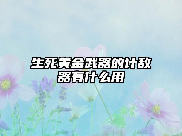 生死黄金武器的计敌器有什么用