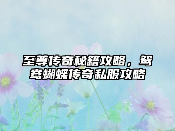 至尊传奇秘籍攻略，鸳鸯蝴蝶传奇私服攻略