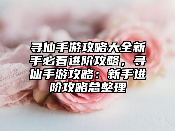 寻仙手游攻略大全新手必看进阶攻略，寻仙手游攻略：新手进阶攻略总整理