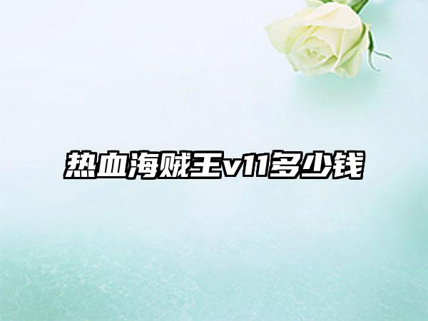 热血海贼王v11多少钱