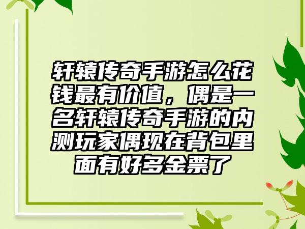 轩辕传奇手游怎么花钱最有价值，偶是一名轩辕传奇手游的内测玩家偶现在背包里面有好多金票了
