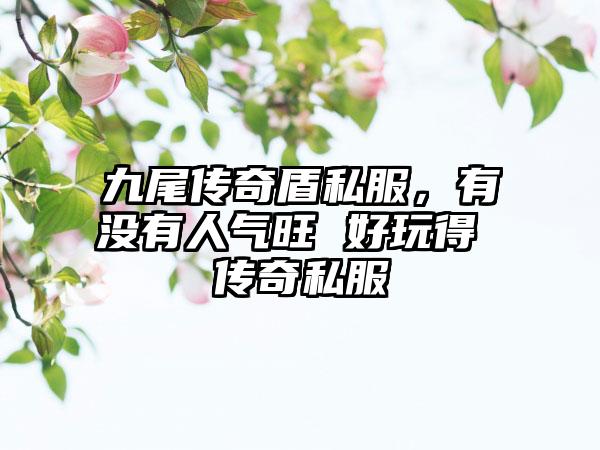 九尾传奇盾私服，有没有人气旺 好玩得 传奇私服