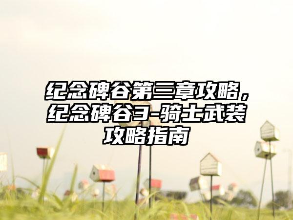纪念碑谷第三章攻略，纪念碑谷3-骑士武装攻略指南