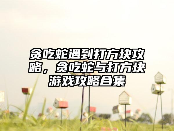 贪吃蛇遇到打方块攻略，贪吃蛇与打方块游戏攻略合集