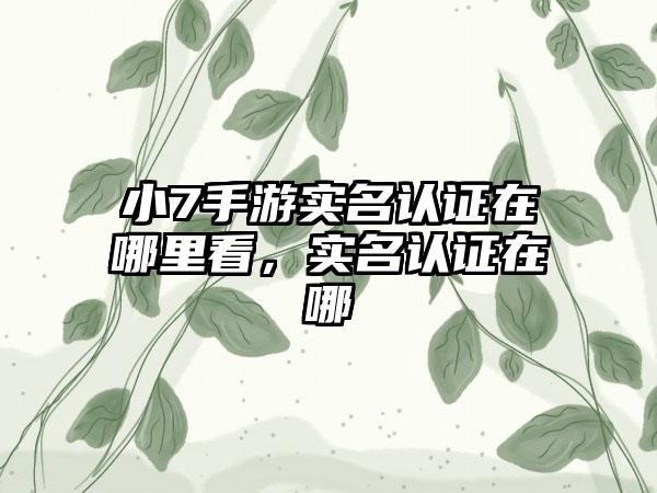 小7手游实名认证在哪里看，实名认证在哪