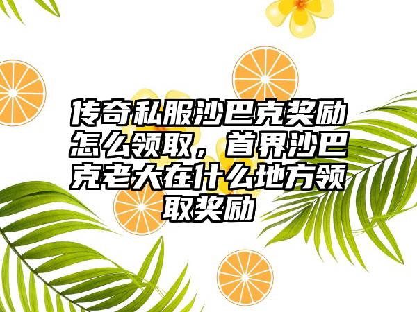传奇私服沙巴克奖励怎么领取，首界沙巴克老大在什么地方领取奖励