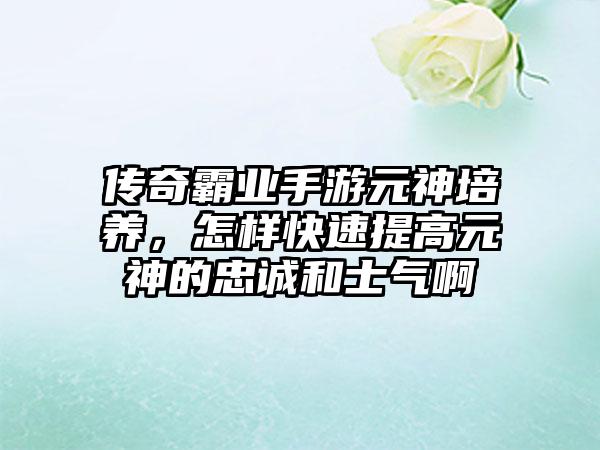 传奇霸业手游元神培养，怎样快速提高元神的忠诚和士气啊