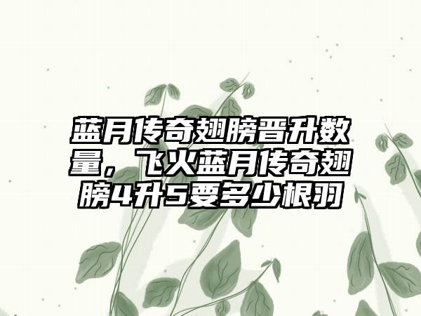 蓝月传奇翅膀晋升数量，飞火蓝月传奇翅膀4升5要多少根羽