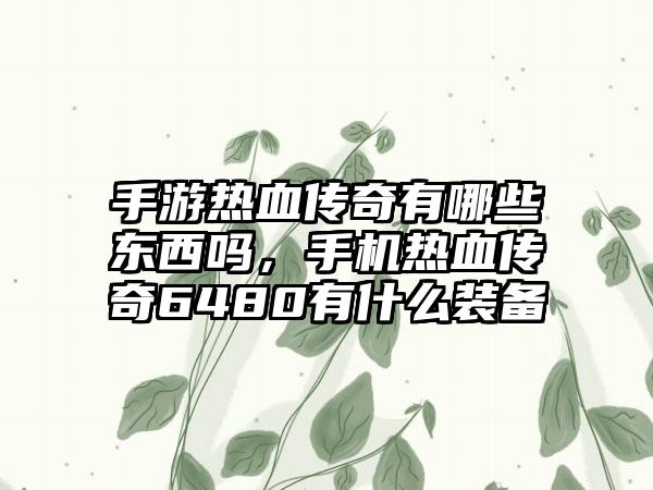 手游热血传奇有哪些东西吗，手机热血传奇6480有什么装备