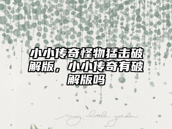 小小传奇怪物猛击破解版，小小传奇有破解版吗