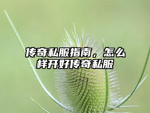 传奇私服指南，怎么样开好传奇私服