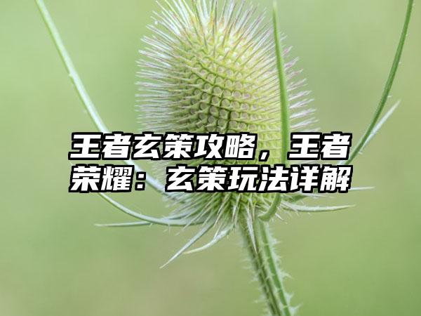 王者玄策攻略，王者荣耀：玄策玩法详解
