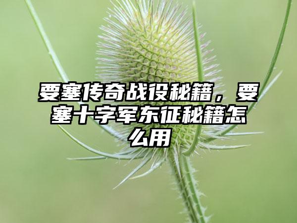 要塞传奇战役秘籍，要塞十字军东征秘籍怎么用