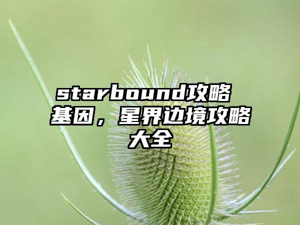 starbound攻略 基因，星界边境攻略大全