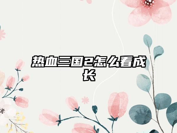 热血三国2怎么看成长