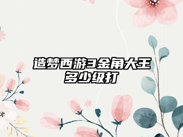 造梦西游3金角大王多少级打