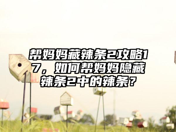 帮妈妈藏辣条2攻略17，如何帮妈妈隐藏辣条2中的辣条？