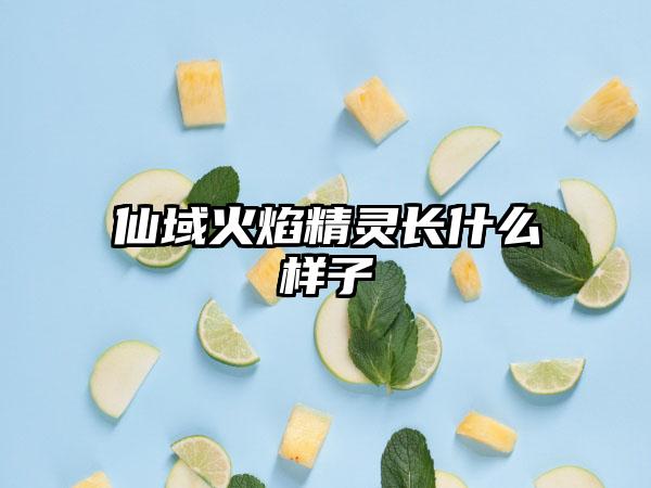 仙域火焰精灵长什么样子