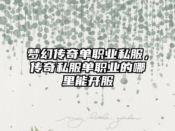 梦幻传奇单职业私服，传奇私服单职业的哪里能开服