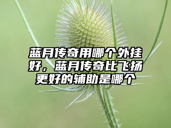 蓝月传奇用哪个外挂好，蓝月传奇比飞扬更好的辅助是哪个