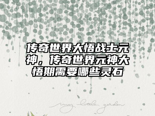 传奇世界大悟战士元神，传奇世界元神大悟期需要哪些灵石