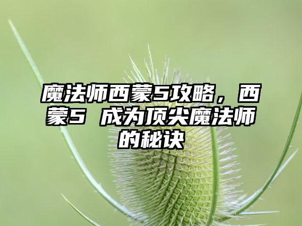 魔法师西蒙5攻略，西蒙5 成为顶尖魔法师的秘诀