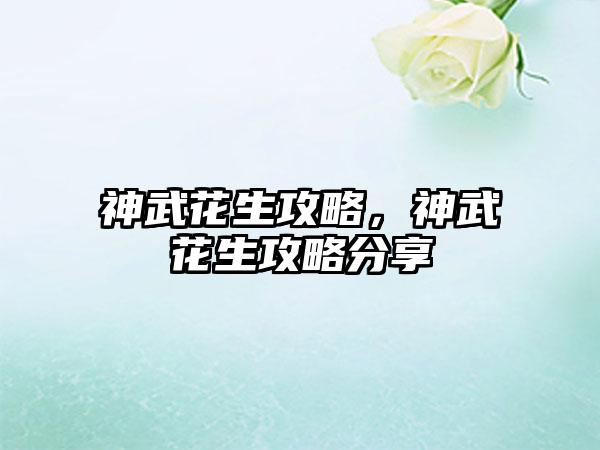 神武花生攻略，神武花生攻略分享