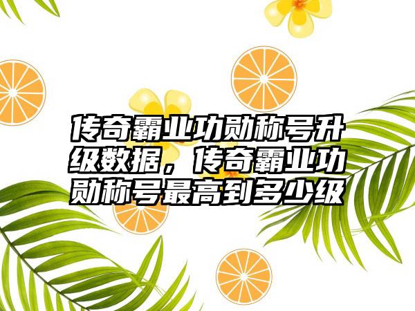 传奇霸业功勋称号升级数据，传奇霸业功勋称号最高到多少级