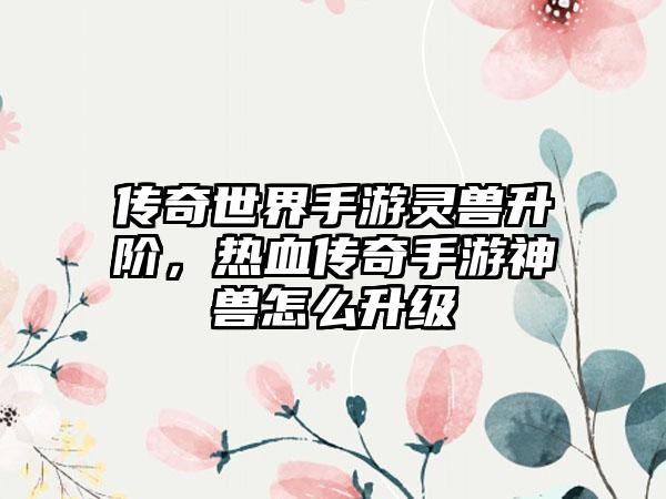 传奇世界手游灵兽升阶，热血传奇手游神兽怎么升级