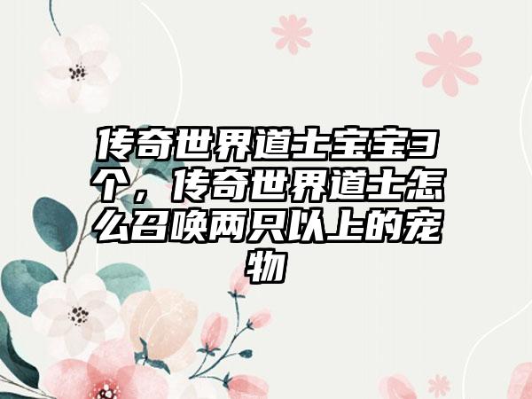 传奇世界道士宝宝3个，传奇世界道士怎么召唤两只以上的宠物