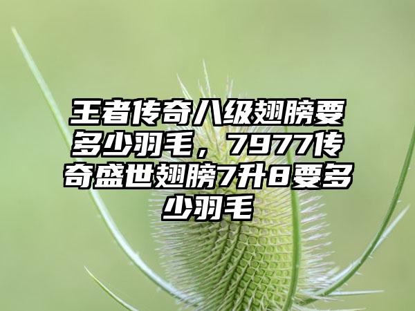 王者传奇八级翅膀要多少羽毛，7977传奇盛世翅膀7升8要多少羽毛