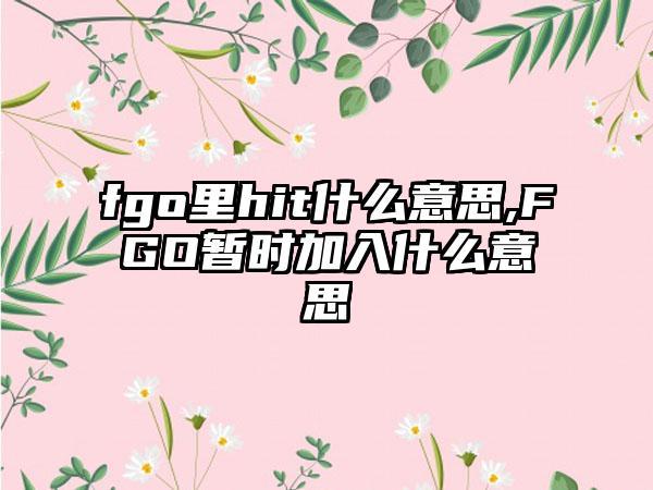 fgo里hit什么意思,FGO暂时加入什么意思