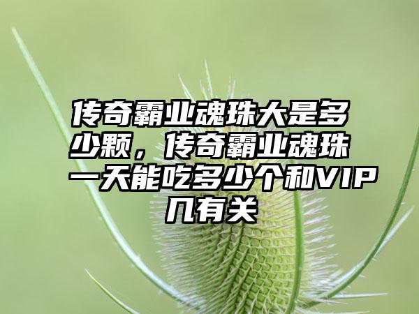 传奇霸业魂珠大是多少颗，传奇霸业魂珠一天能吃多少个和VIP几有关