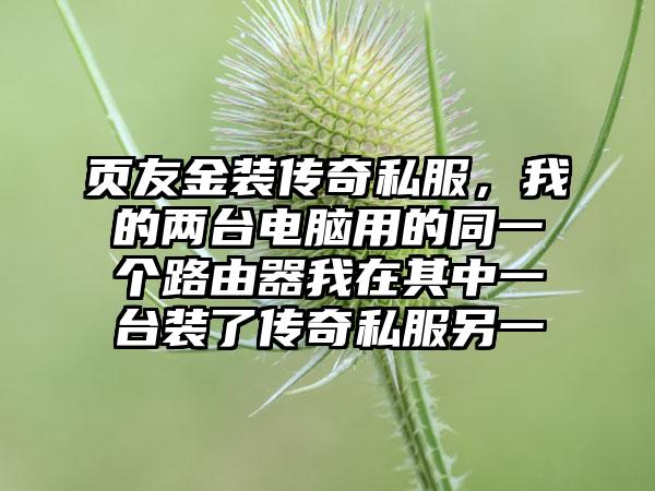 页友金装传奇私服，我的两台电脑用的同一个路由器我在其中一台装了传奇私服另一