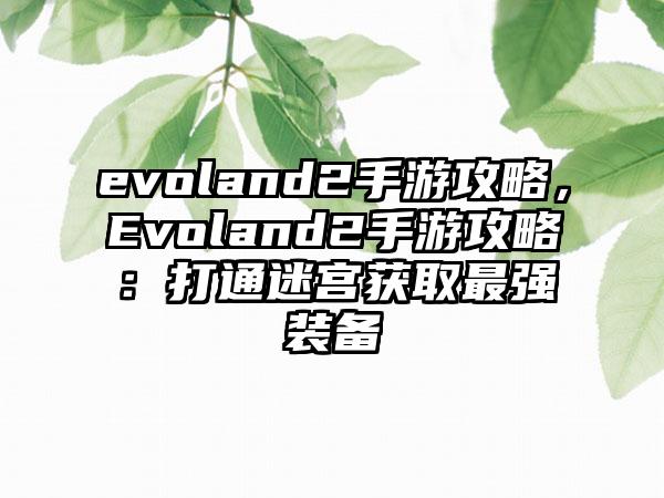 evoland2手游攻略，Evoland2手游攻略：打通迷宫获取最强装备