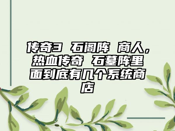 传奇3 石阁阵 商人，热血传奇 石墓阵里面到底有几个系统商店