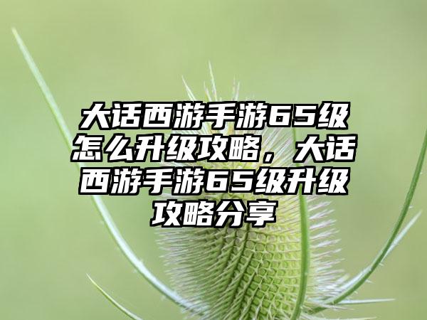 大话西游手游65级怎么升级攻略，大话西游手游65级升级攻略分享