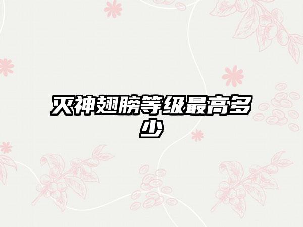 灭神翅膀等级最高多少