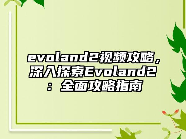 evoland2视频攻略，深入探索Evoland2：全面攻略指南