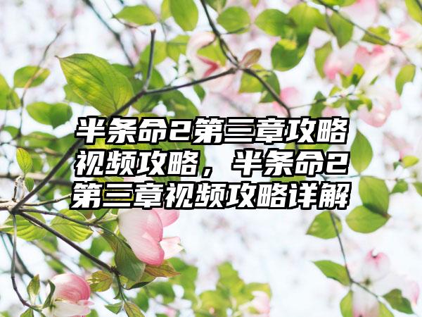 半条命2第三章攻略视频攻略，半条命2第三章视频攻略详解