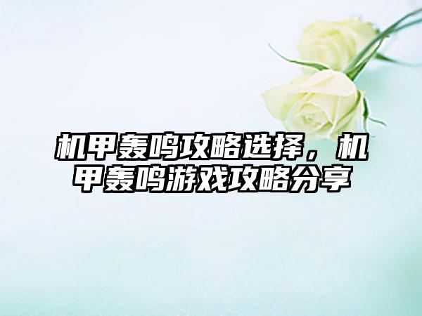 机甲轰鸣攻略选择，机甲轰鸣游戏攻略分享