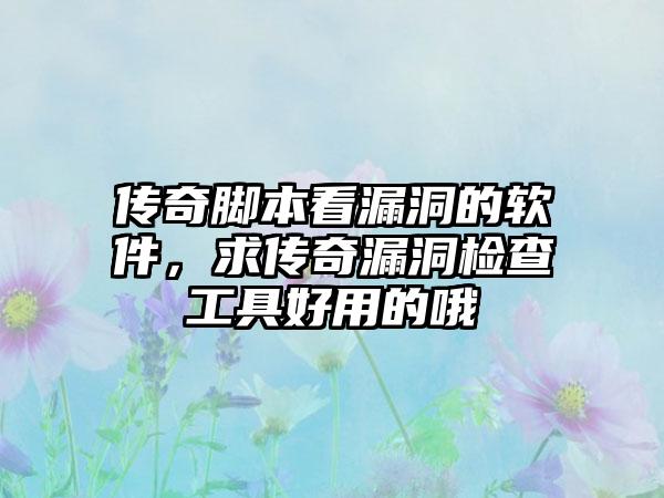 传奇脚本看漏洞的软件，求传奇漏洞检查工具好用的哦