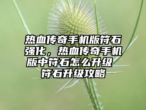 热血传奇手机版符石强化，热血传奇手机版中符石怎么升级 符石升级攻略