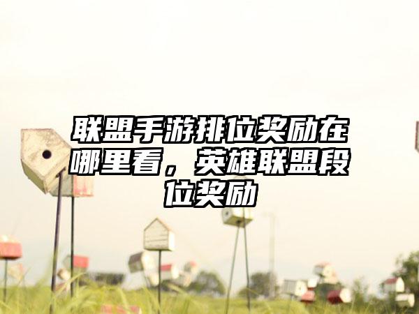联盟手游排位奖励在哪里看，英雄联盟段位奖励